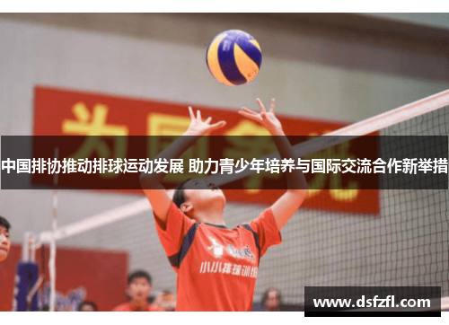 中国排协推动排球运动发展 助力青少年培养与国际交流合作新举措