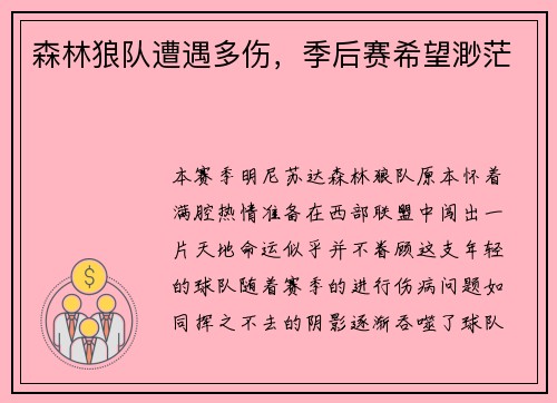 森林狼队遭遇多伤，季后赛希望渺茫
