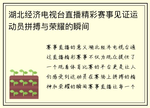 湖北经济电视台直播精彩赛事见证运动员拼搏与荣耀的瞬间